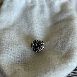 Pandora charm